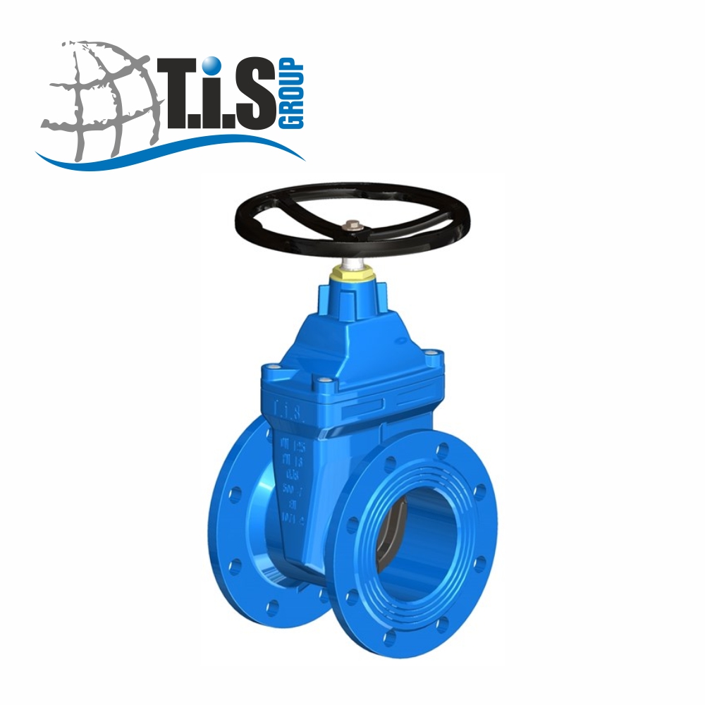 Задвижка чугунная фланцевая с обрезиненным клином T.I.S Group (Италия), тип F4